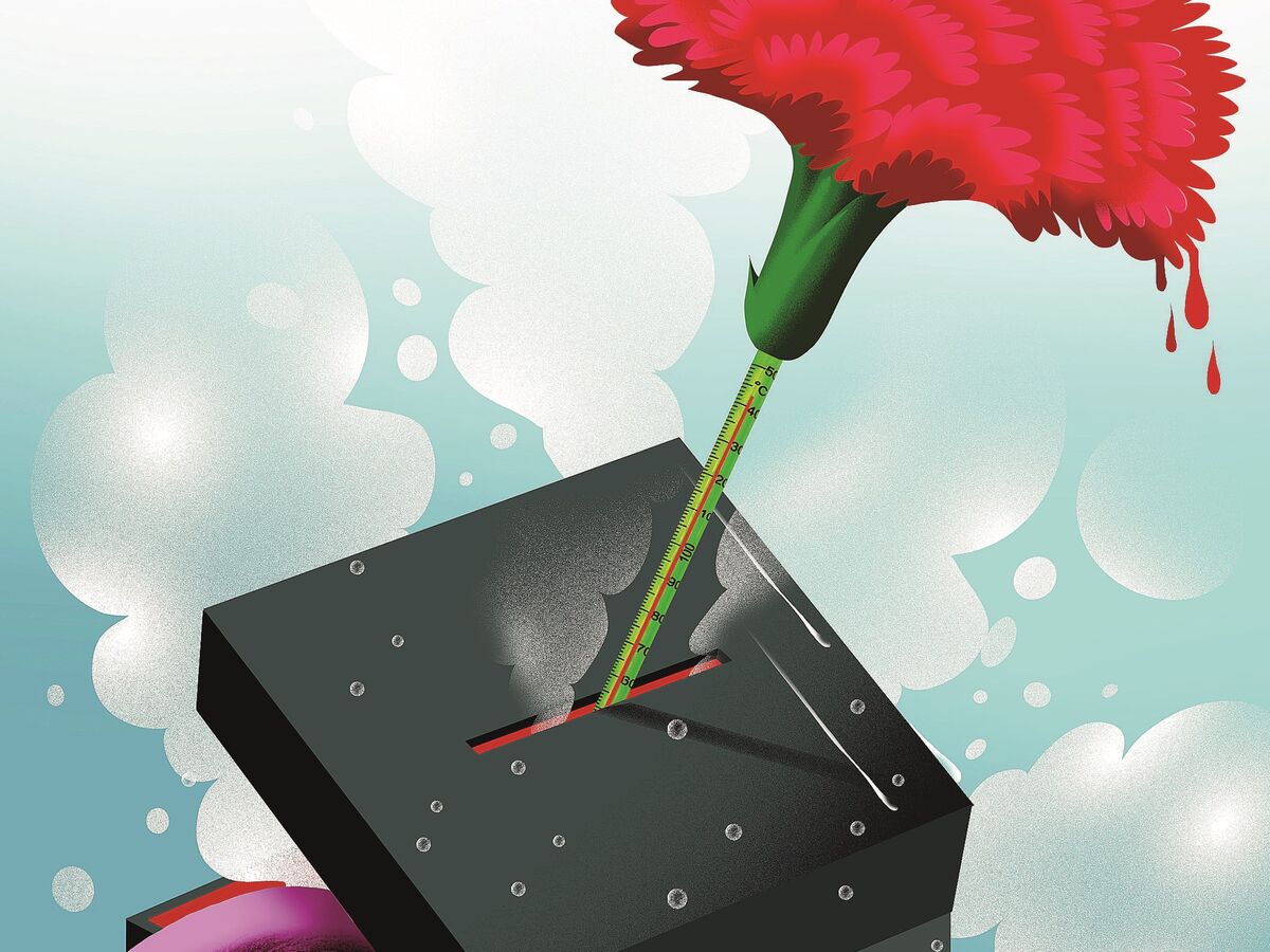 O cartoon de Vasco Gargalo da edição 1042