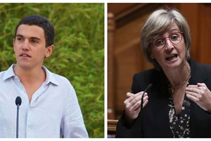 De Sebastião Bugalho a Marta Temido: quem são os candidatos às europeias?