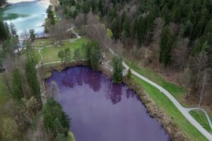 Bactérias deixam lago na Alemanha pintado de roxo