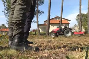 Santarém, Castelo Branco e Braga são os distritos com mais incumprimentos na limpeza das matas