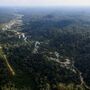 Amazónia. Perda de floresta caiu 36%, mas ainda é alta 