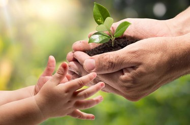 Ambiente: rumo a um futuro verde