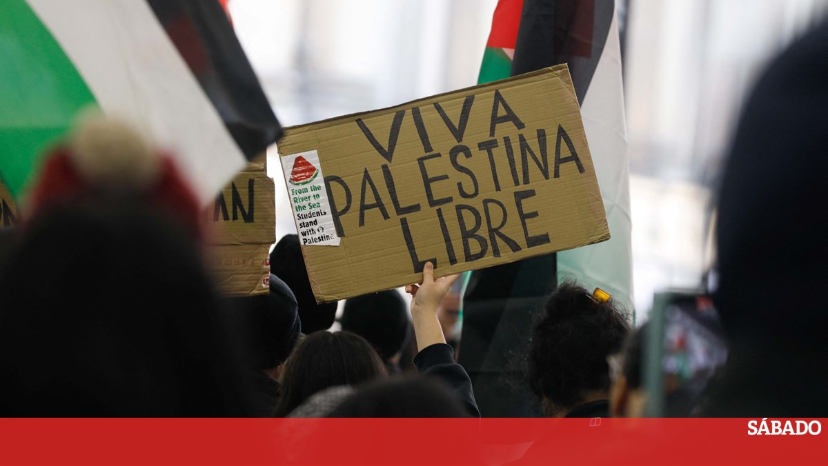 España, Noruega e Irlanda reconocen el Estado de Palestina: ¿qué significa eso?  – Decodificadores