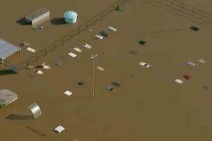 Histórias trágicas multiplicam-se nas zonas mais afetadas pelas inundações no Brasil