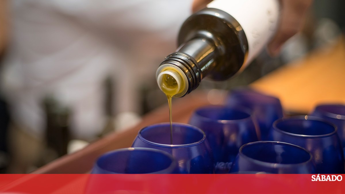 España reducirá el IVA del aceite de oliva al 0% a partir de julio – Dinero