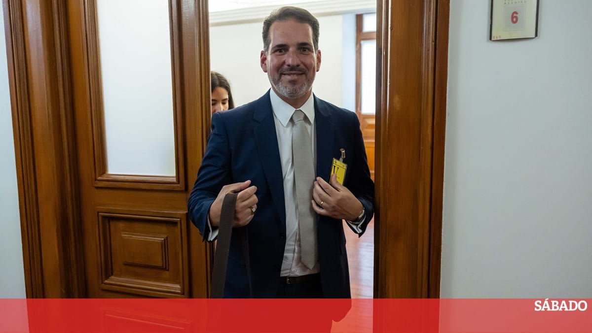 Caso gémeas: Parecer da Ordem dos Advogados existe, mas pode não ser decisão final