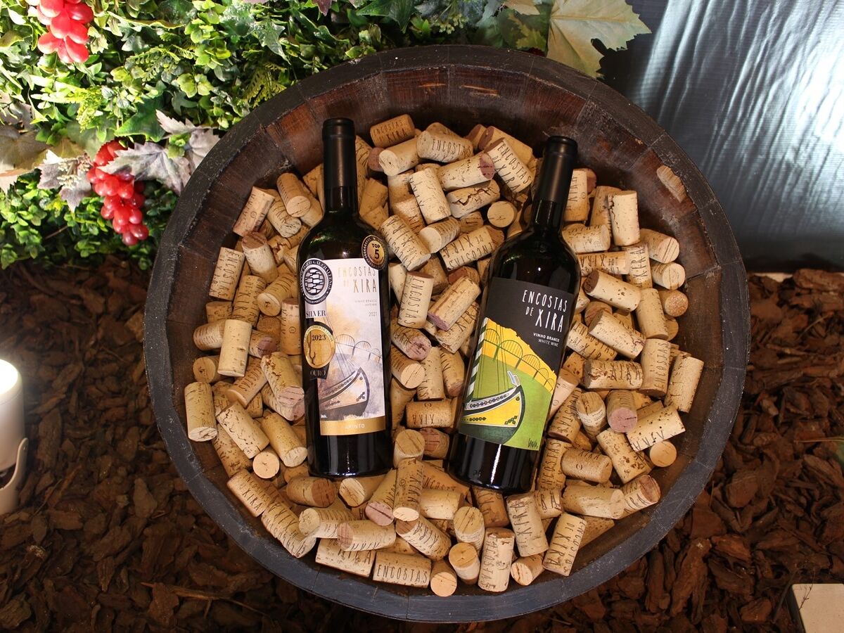 A seleção da estação: 25 vinhos para beber este verão