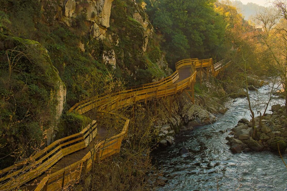 Descobrir Vila Real para além das pistas do famoso circuito