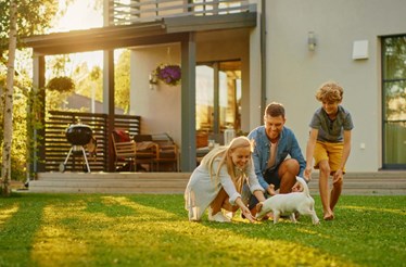 Dicas para manter o jardim em bom estado em pleno verão