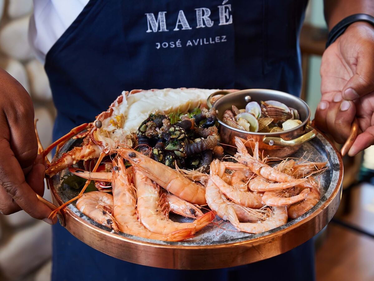 Temporada de mariscada: as melhores de norte a sul