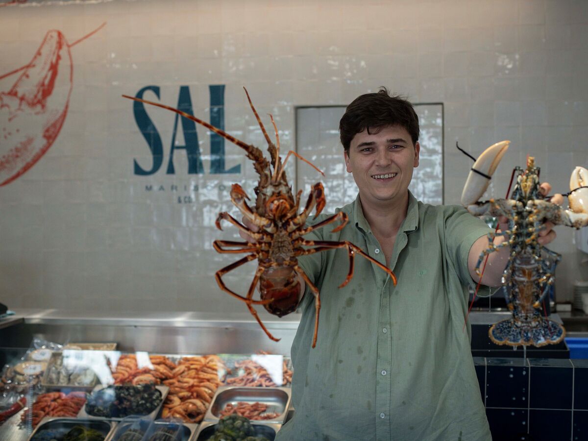 Sabe como escolher e preparar marisco?