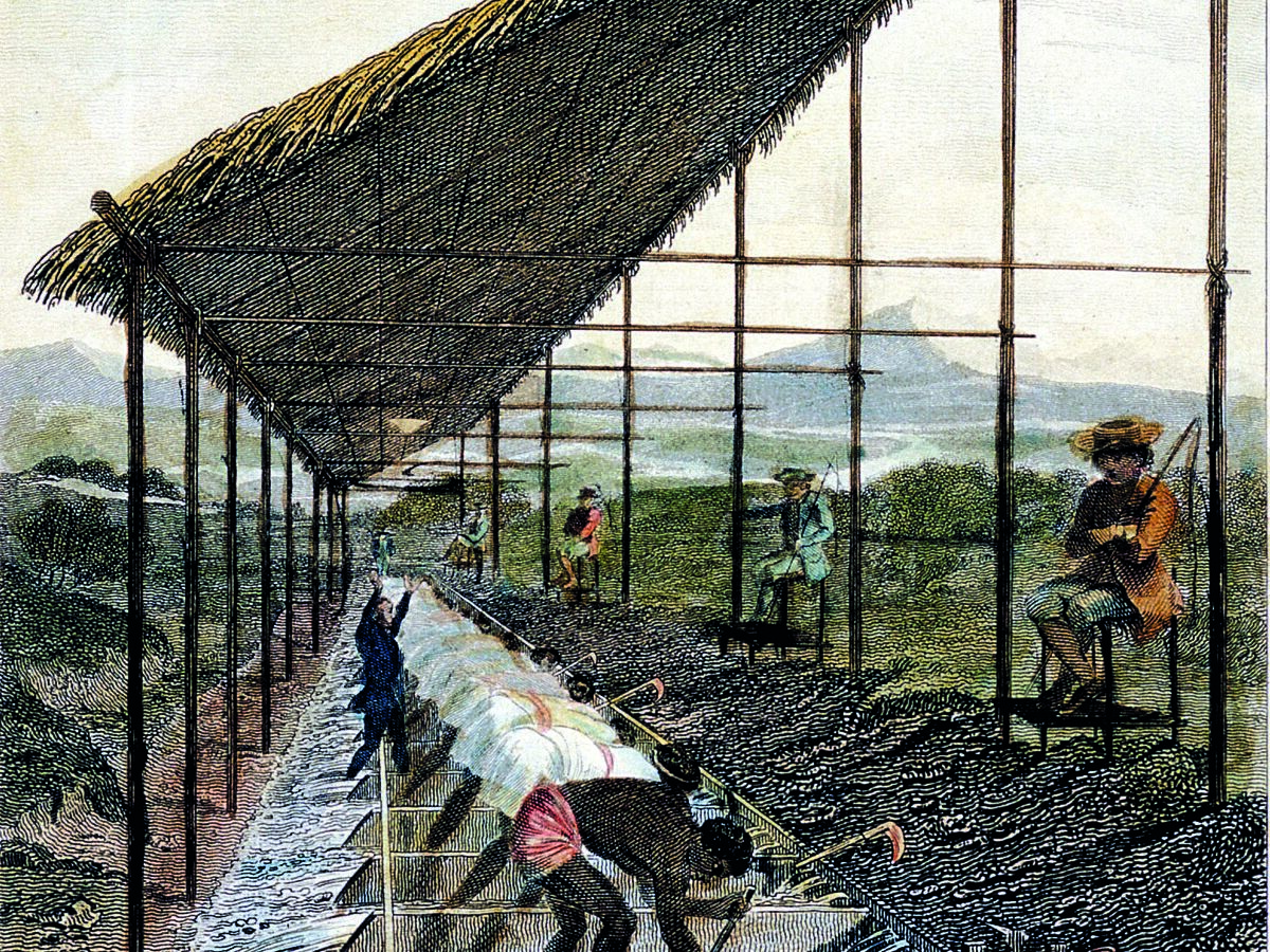 A vida luxuosa do rei-sol português