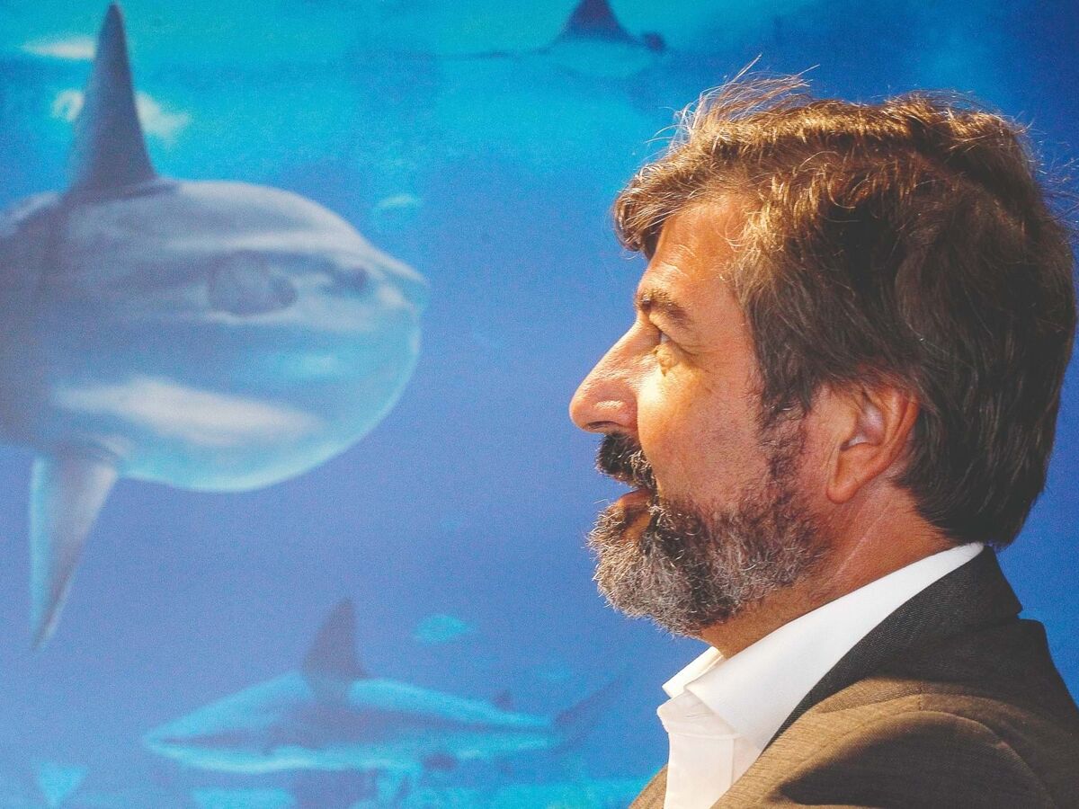 Tiago Pitta e Cunha: “A mineração submarina é a nossa última irresponsabilidade”