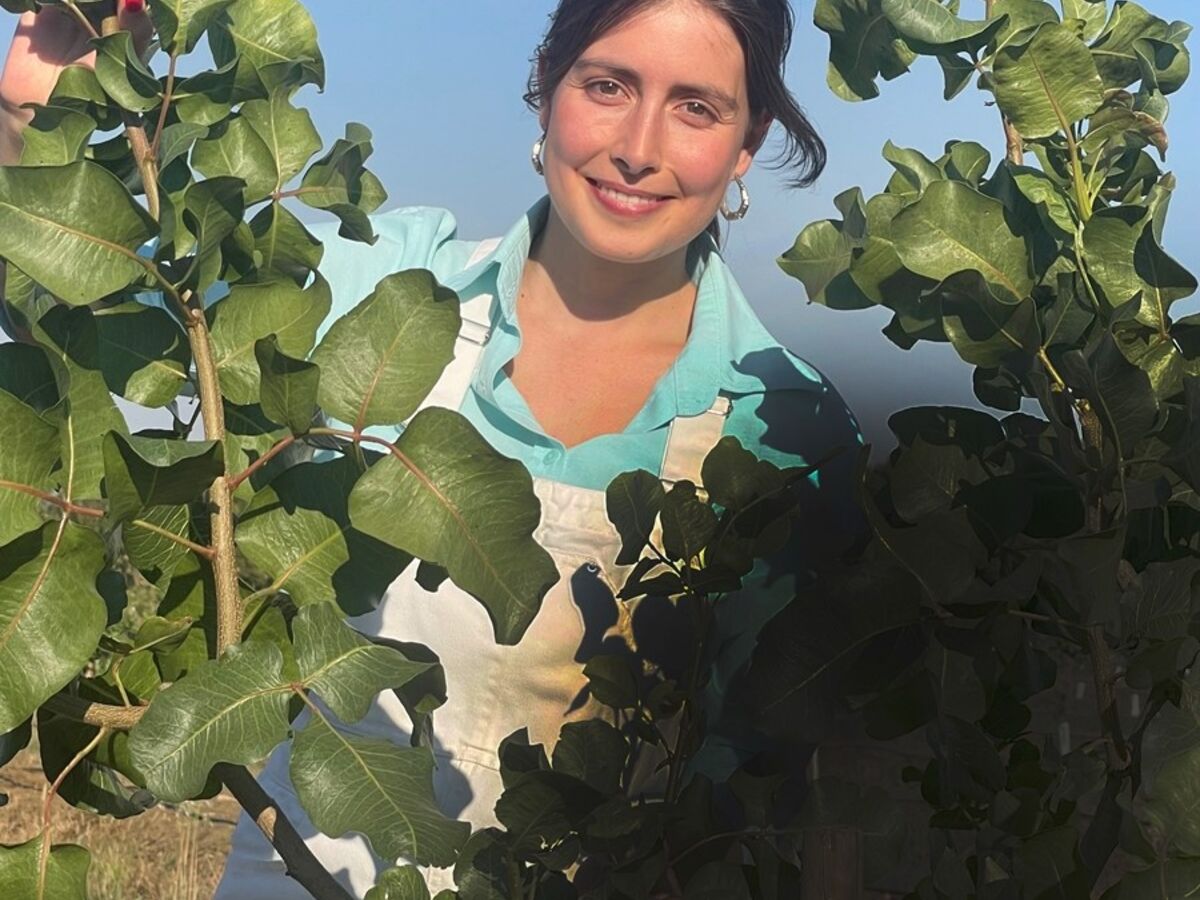 São jovens, mulheres e destacam-se na Agricultura