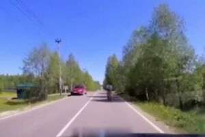 Porque é que o telemóvel é tão perigoso para os ciclistas?