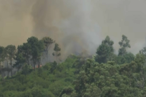 Bombeiros combatem chamas na Ribeira Brava e em Câmara de Lobos na Madeira