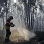 Interior Norte e Centro em risco máximo de incêndio