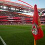 Grupo americano quer comprar posição de rei dos frangos no Benfica