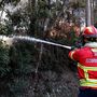 Incêndio na Madeira: Fogo tem cinco frentes ativas de fraca intensidade em 3 concelhos