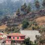 Incêndio na Madeira: Fogo chegou ao Pico Ruivo e reforços já estão a caminho