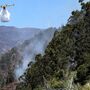 Incêndio na Madeira está controlado e em fase de rescaldo