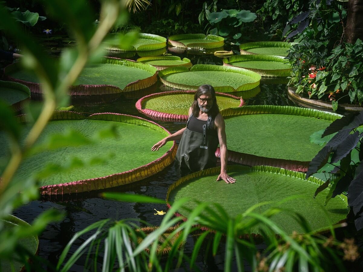 O Indiana Jones da Botânica