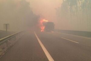  Incêndios: Dois mortos em Sever do Vouga e Albergaria-a-Velha