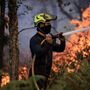 Homem de 24 anos detido por ser suspeito de atear incêndio de Oliveira de Azeméis