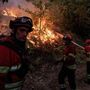 Incêndios: Prisão preventiva para suspeito de atear fogo em Vila Pouca de Aguiar