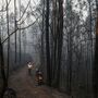 Alterações climáticas aumentam número de mortes por fumo gerado por incêndios