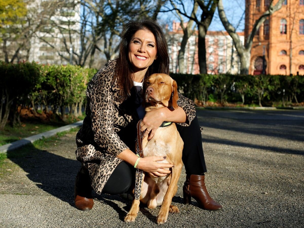 Nomeações nos gabinetes do Governo em câmara lenta