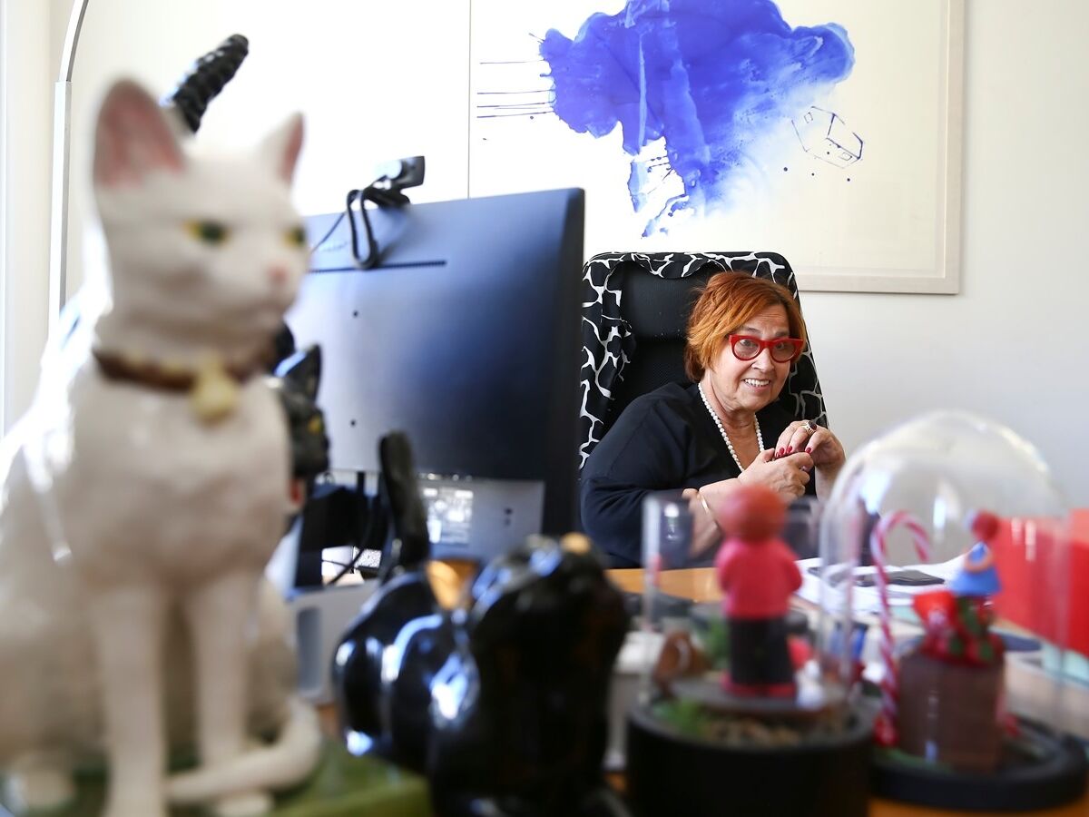 Auditorias em Arroios detectam “insuficiências” e “ilegalidades”