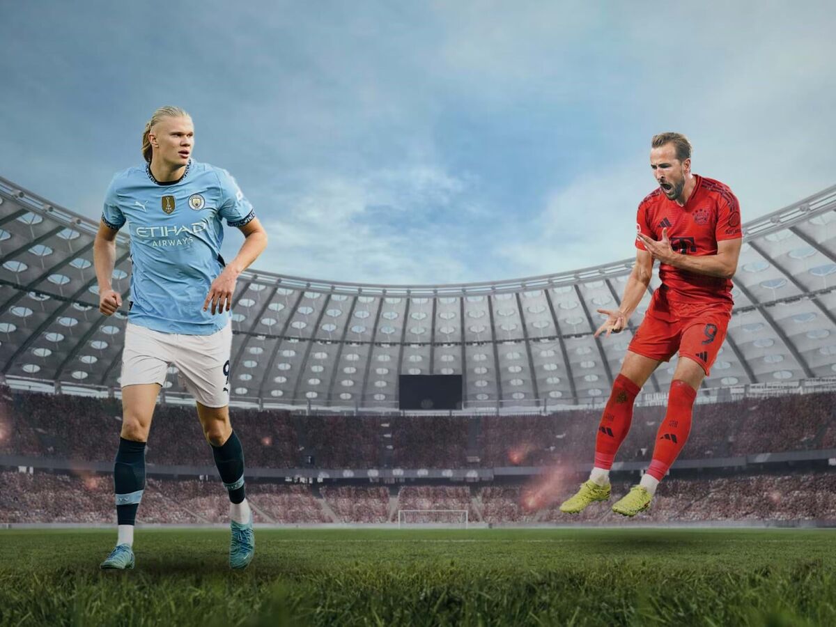 Atenção a estes tubarões