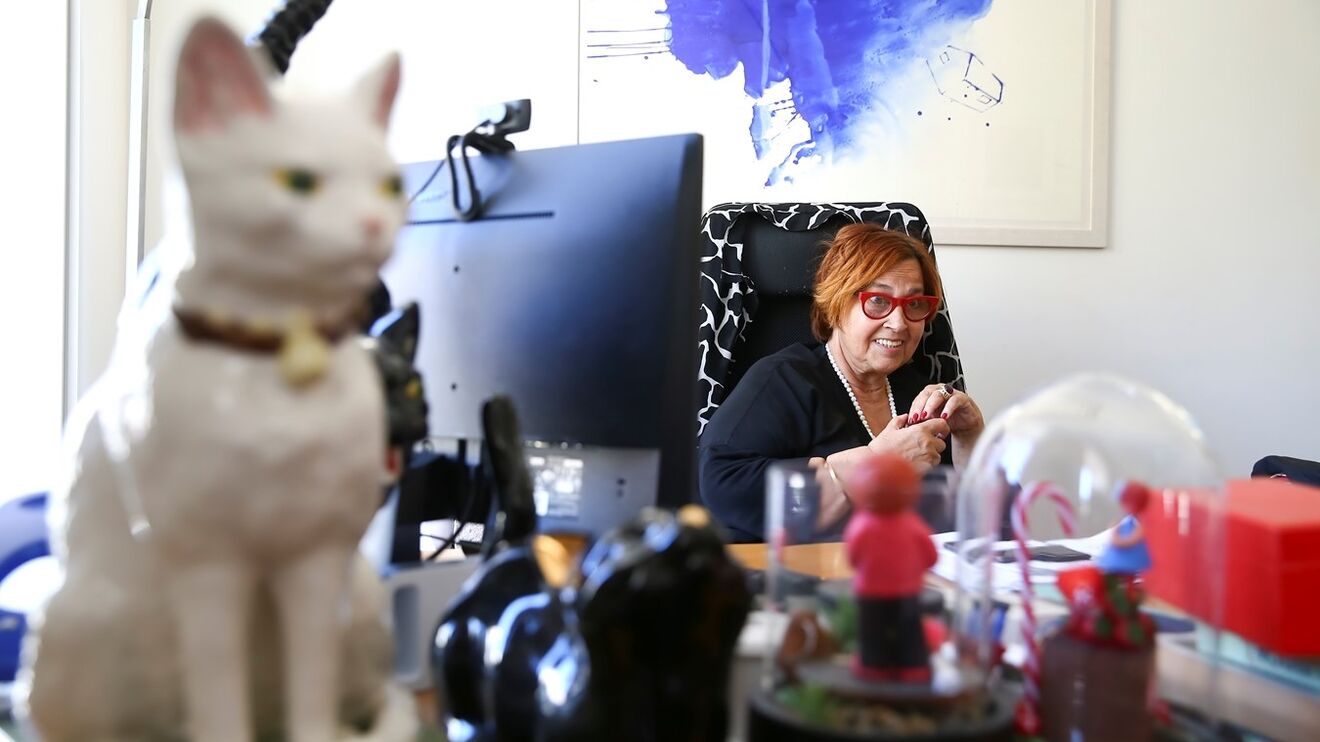 Auditorias em Arroios detectam “insuficiências” e “ilegalidades”