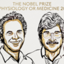 Nobel da Medicina para cientistas que descobriram o microRNA