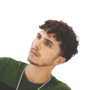 Rui Pedro Gomes