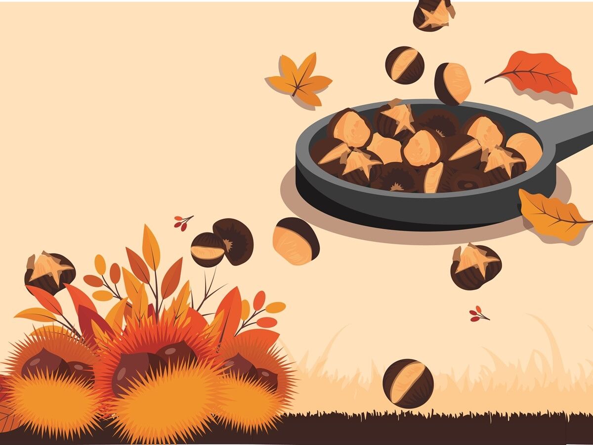 Festas, jantares e concertos para celebrar o São Martinho fora de casa