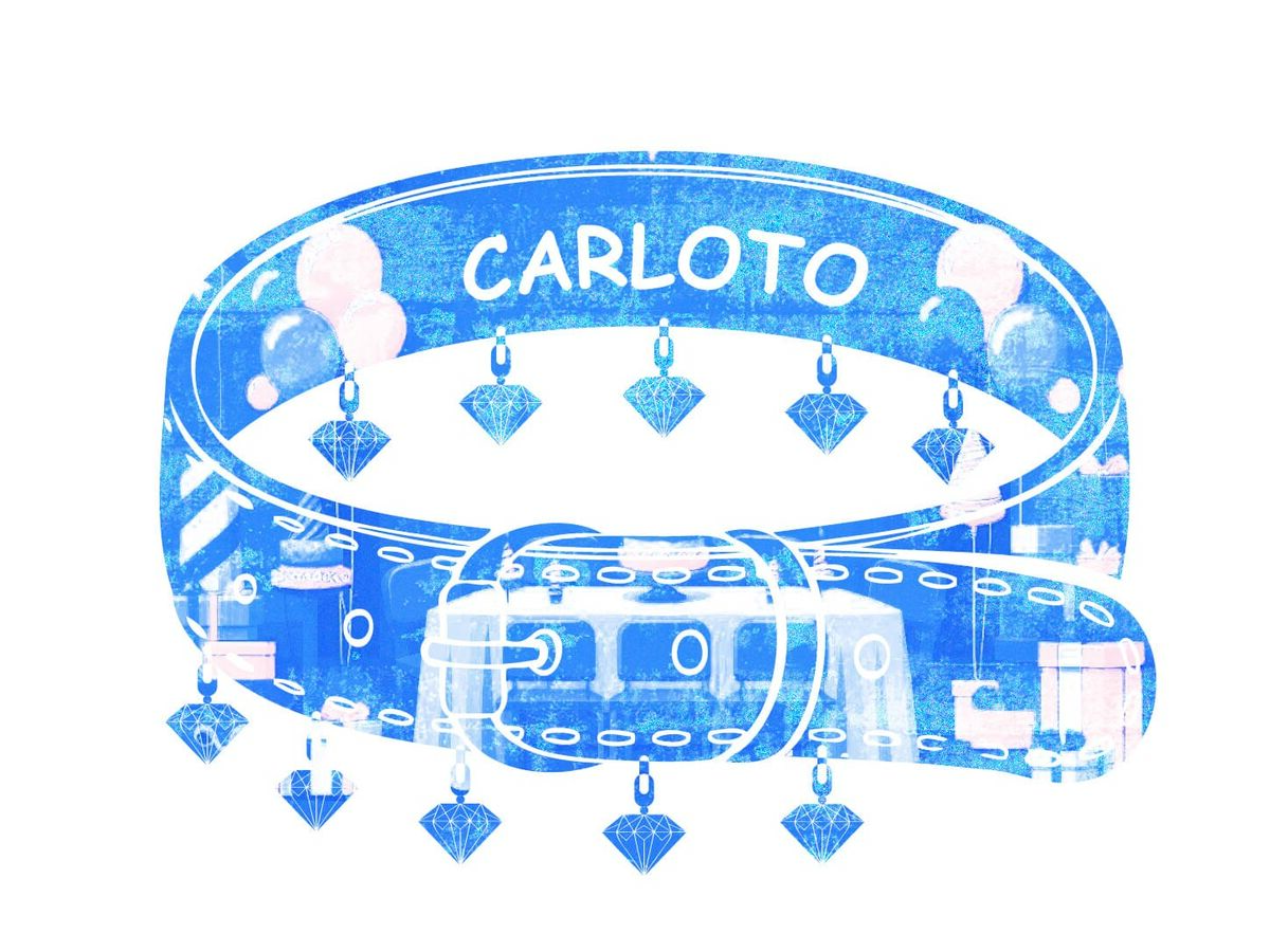 O chimpanzé: terceiro capítulo