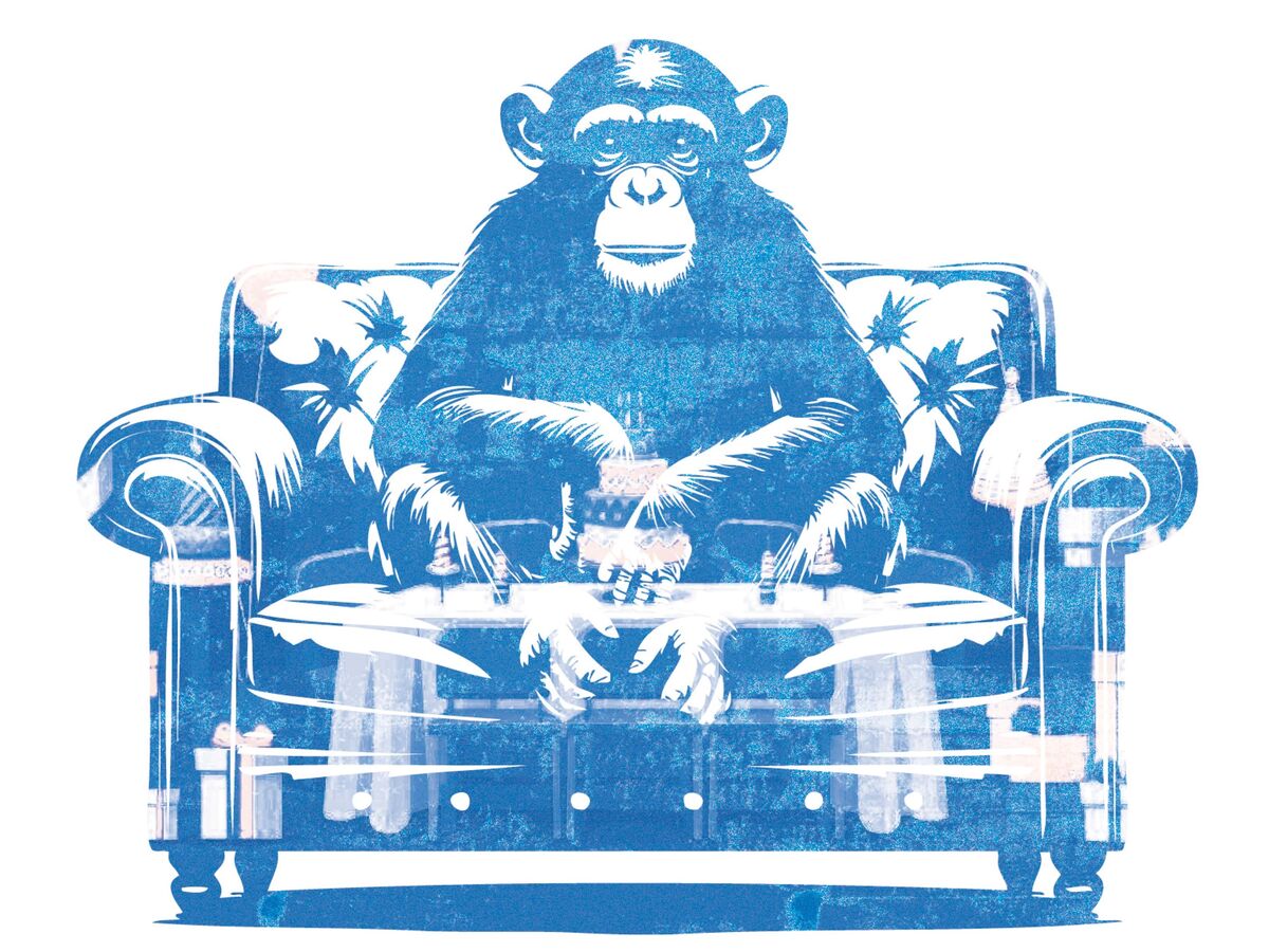 O chimpanzé: quarto capítulo 