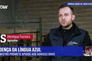 reporter sabado.mp4