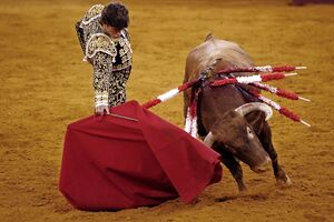 Tauromaquia