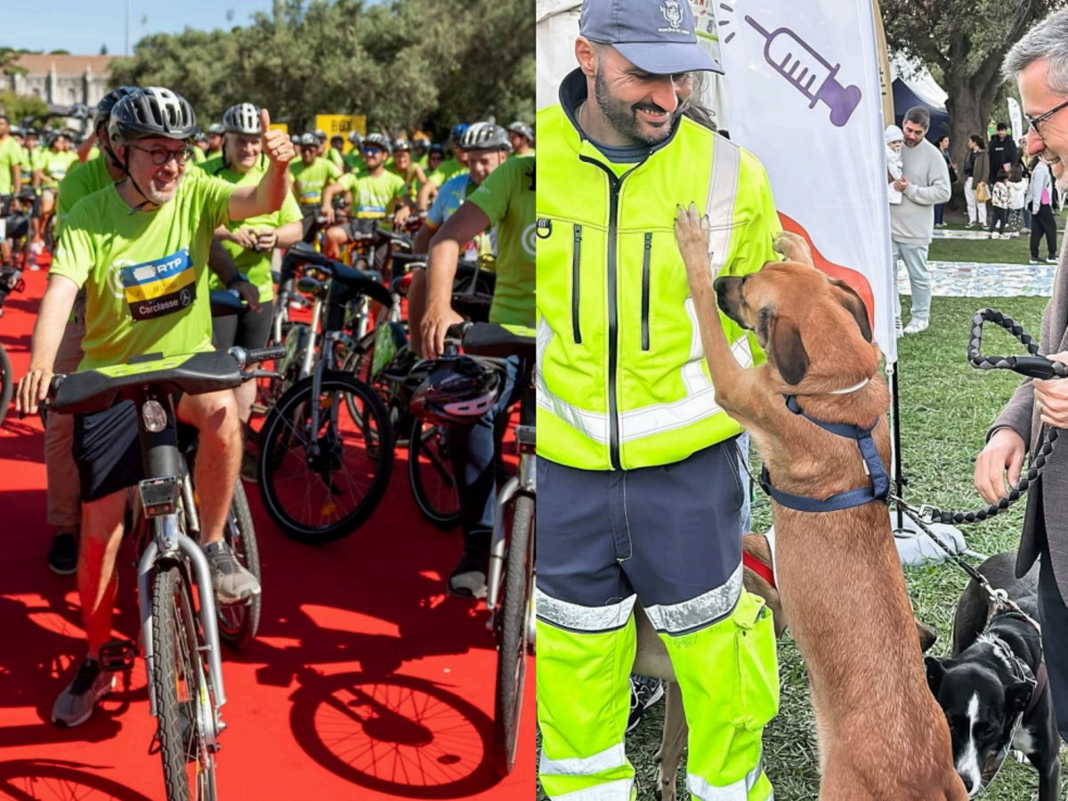 Se há festa, há Moedas