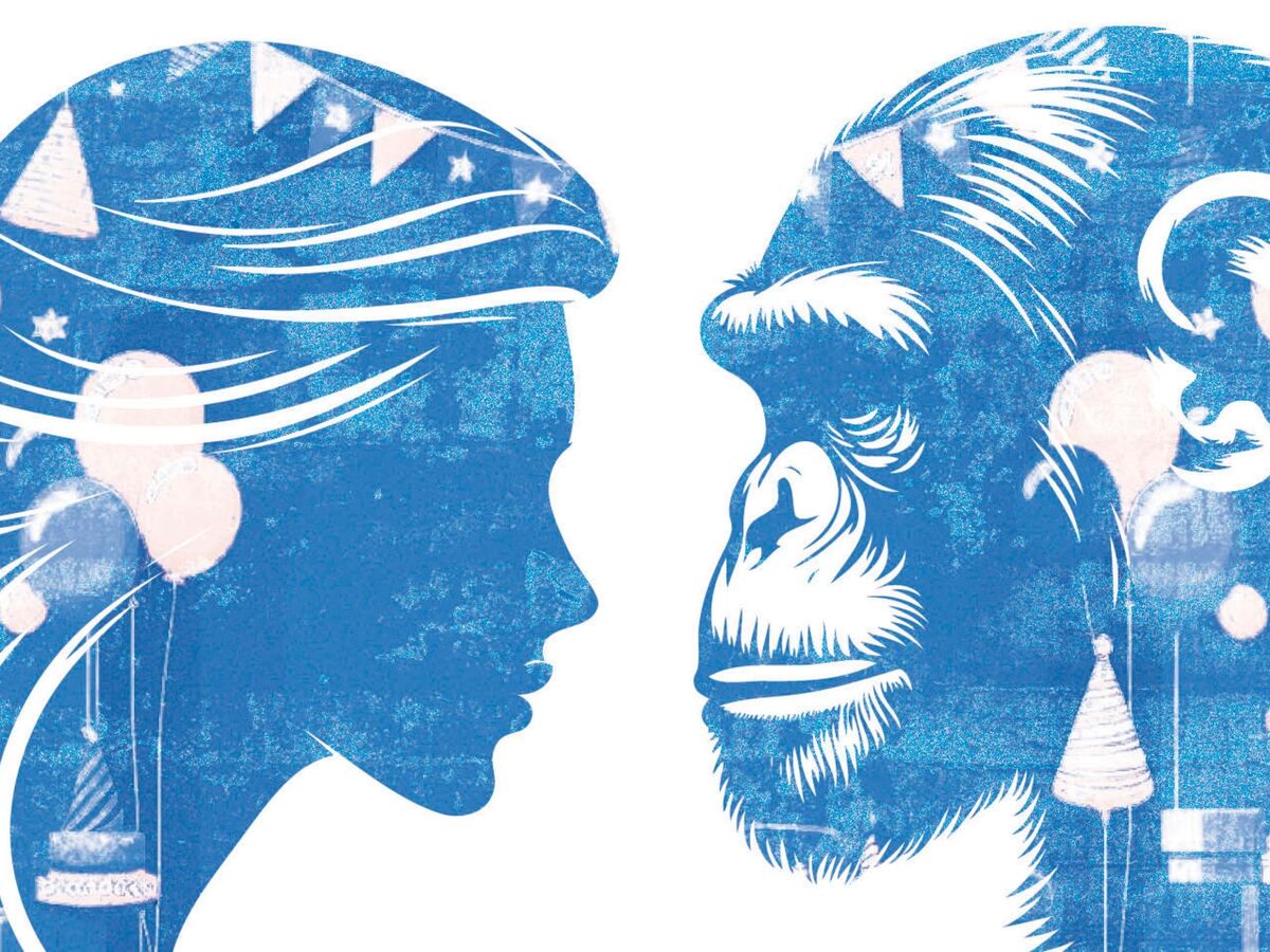 O chimpanzé: quinto capítulo