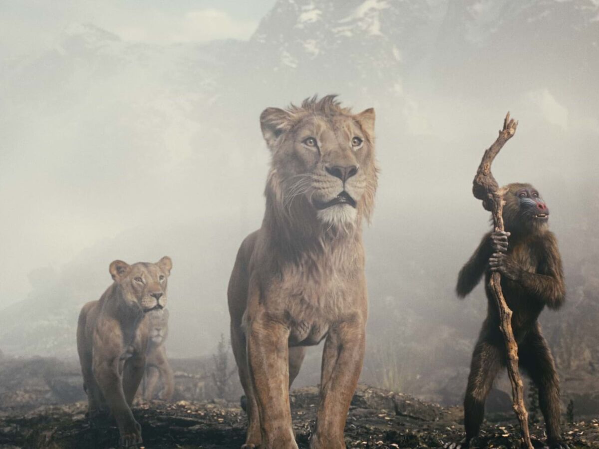 As origens de Mufasa e Scar, segundo Barry Jenkins