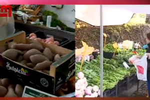 Preço do cabaz alimentar ultrapassa 236 euros