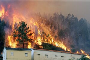 fogos