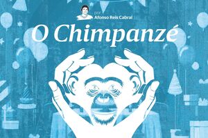 O Chimpanzé - quinto capítulo