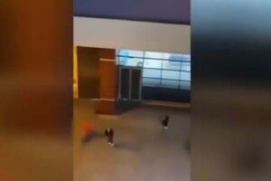 O momento do tiroteio do Palácio do Gelo Shopping em Viseu