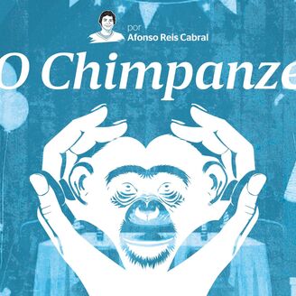 O Chimpanzé - Capítulo 4