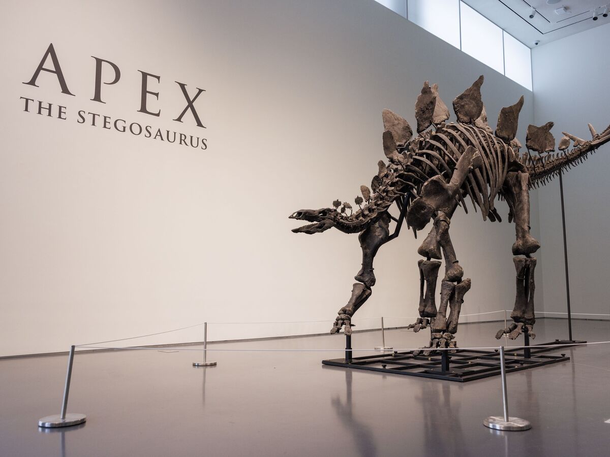 Dinossauros na sala de estar, a nova moda das celebridades